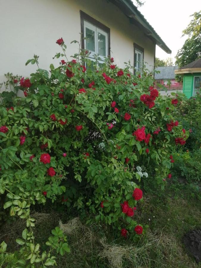 Kica Kroga Apartaments Ainaži Exterior foto